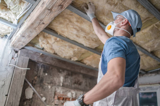 Best Insulation for Specific Applications in Leisure Village, NJ
