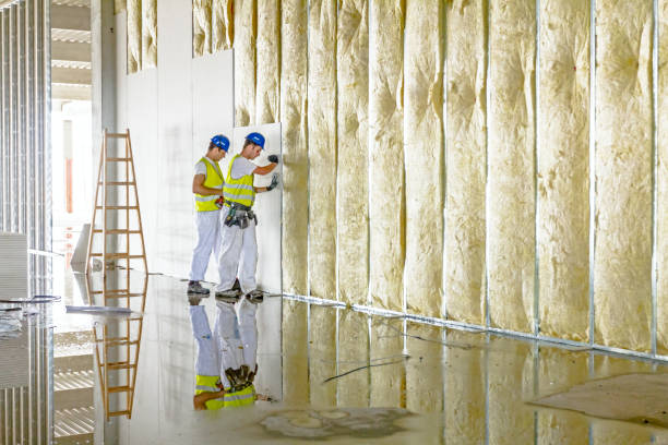 Best Types of Insulation in Leisure Village, NJ